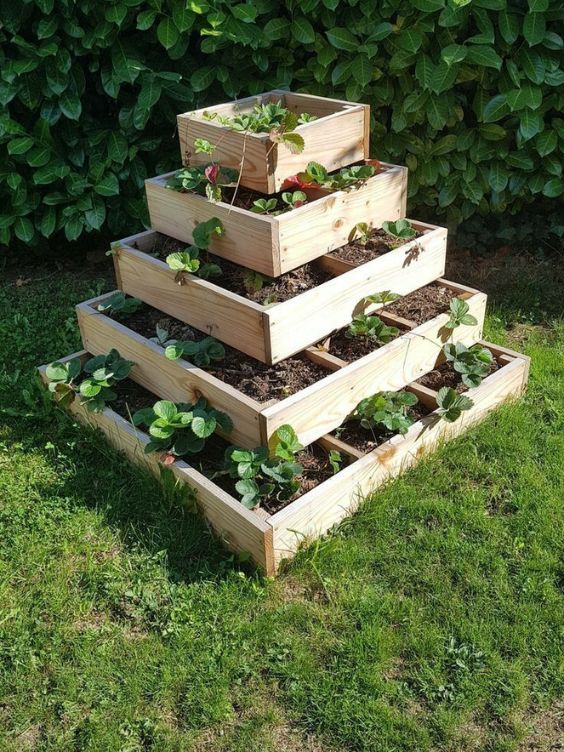 potager en pyramide dans des caisse en bois / visiondeco